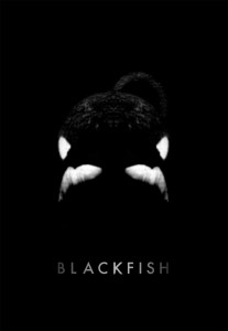 Blackfish_documentary_Tilikum