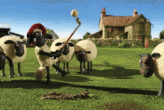 Shaun, vita da Pecora